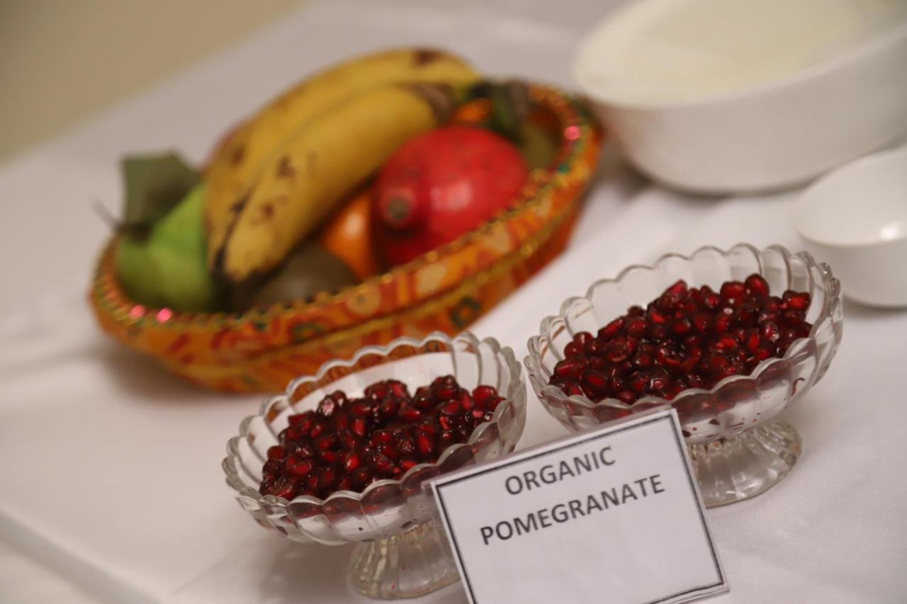 Hotel Residency Palace Dźodhpur Zewnętrze zdjęcie