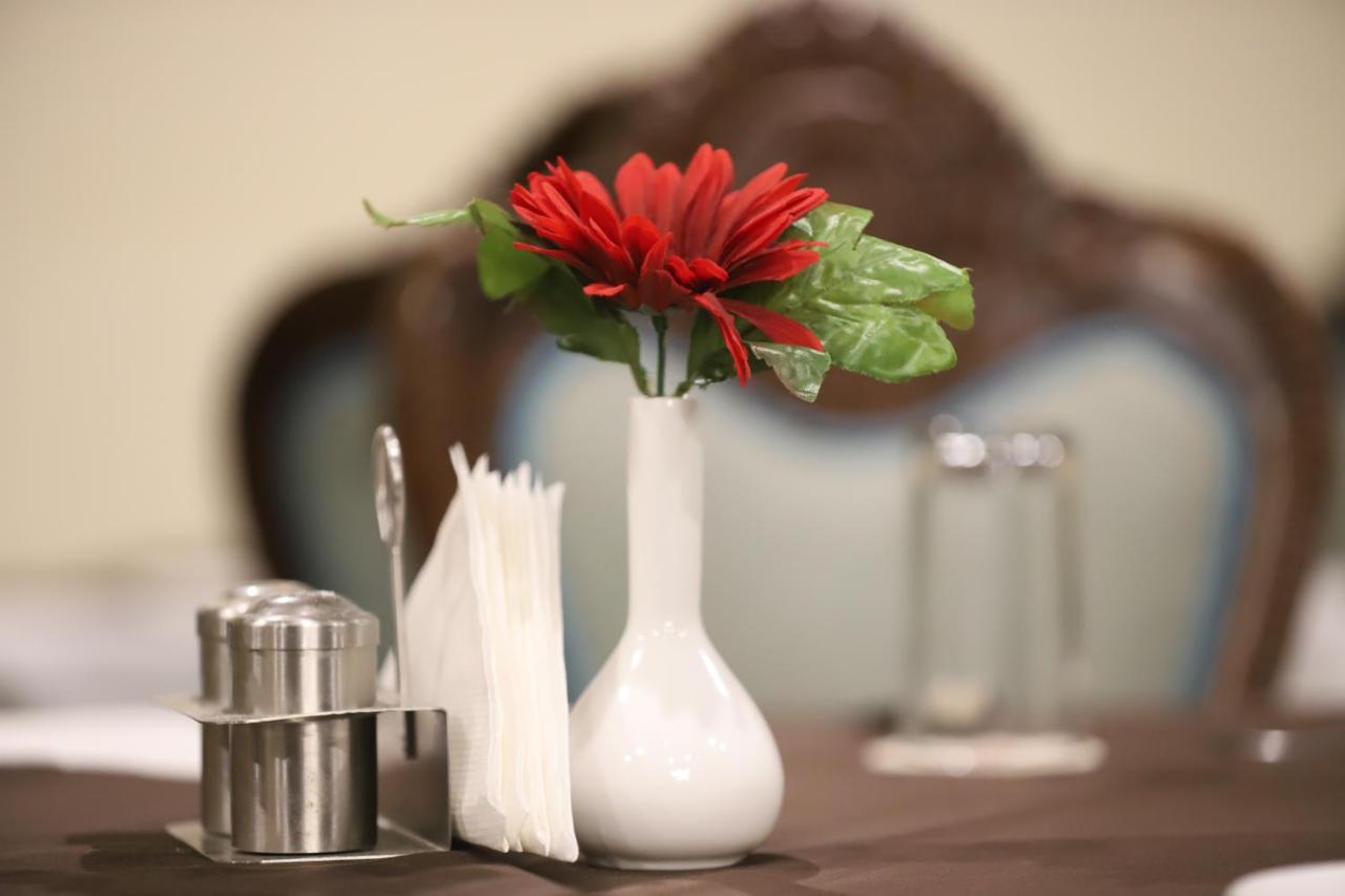 Hotel Residency Palace Dźodhpur Zewnętrze zdjęcie